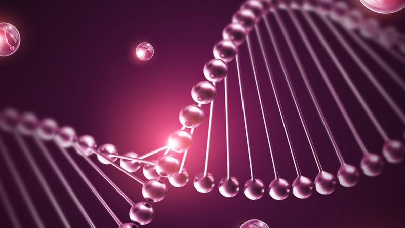 CDMO龙头企业定制流程：揭秘生物制药的“幕后英雄