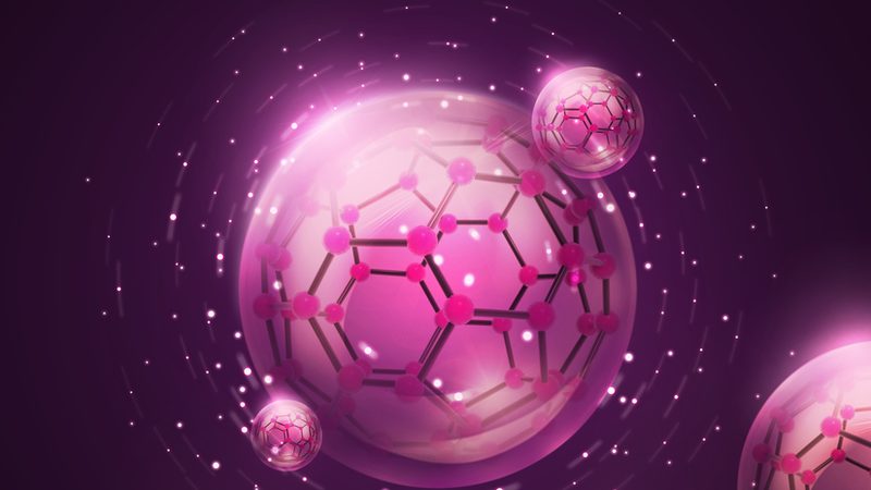 引物合成长度如何影响GC含量？揭秘引物合成关键因素
