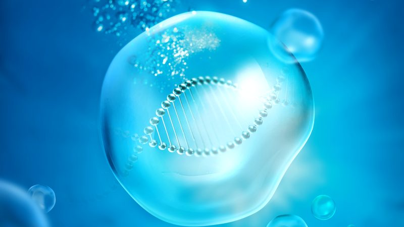 生物检测服务标准分类解析