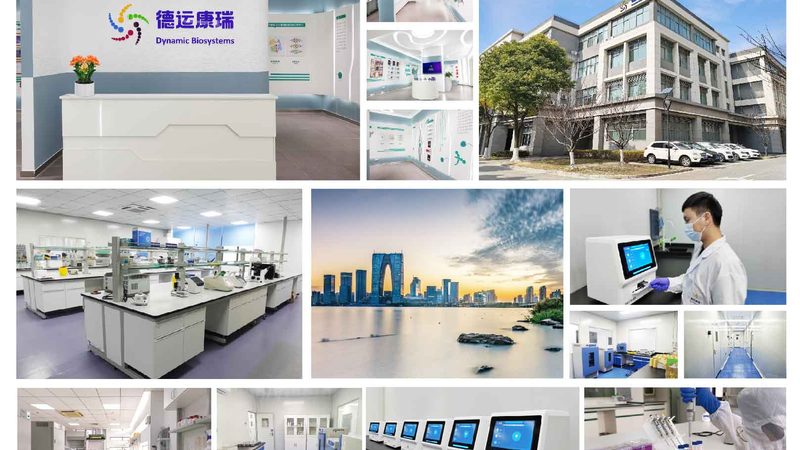 CDMO不是“外包代工”那么简单