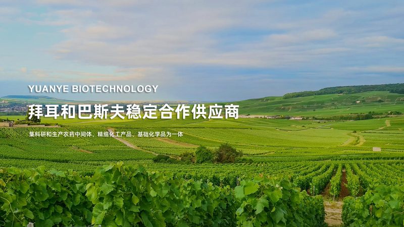 酶制剂规格参数，这些关键点你get了吗？**