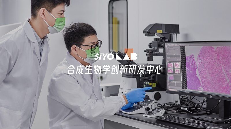 PCR检测代理售后服务为什么常被忽视