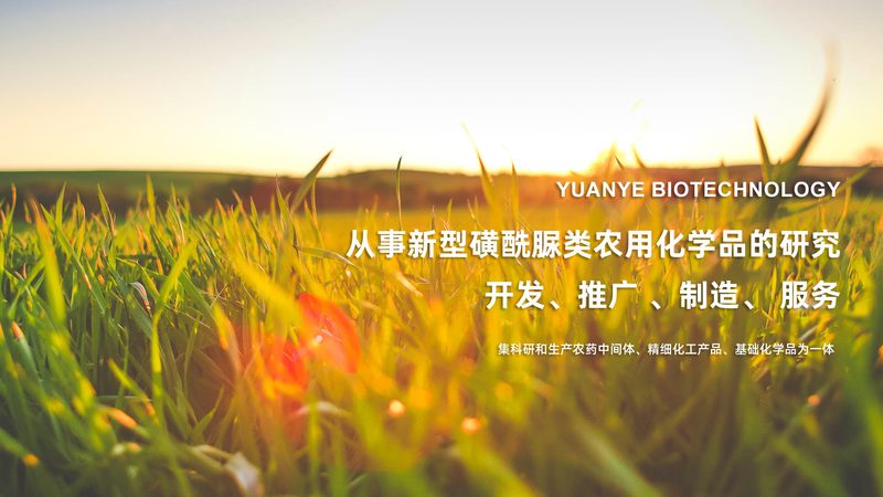 生物科技公司定制服务，如何精准报价？**