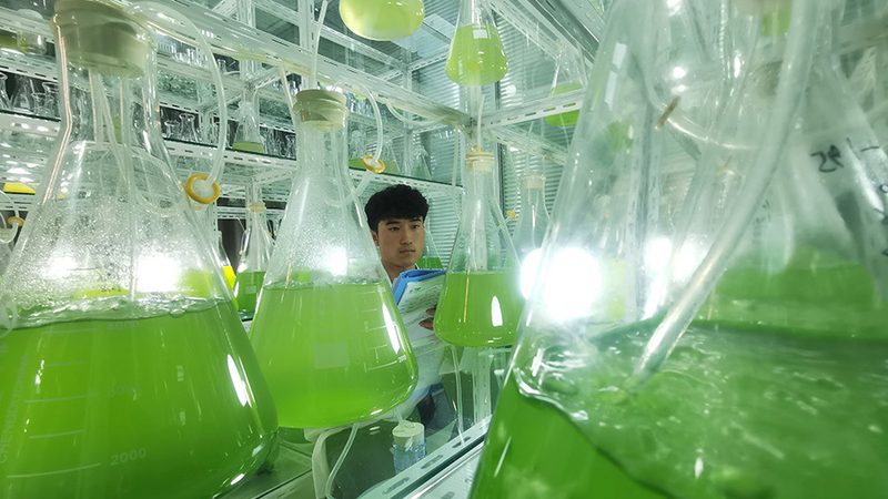 诊断试剂厂家十大品牌推荐